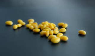 煮熟的黄豆没发酵能做花肥吗（黄豆煮熟不发酵能给花当肥料吗）