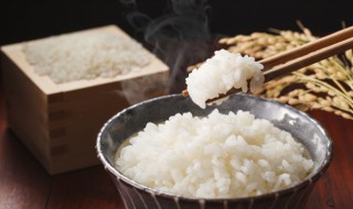 砂锅蒸米饭需要多长时间（电砂锅蒸米饭要多久）