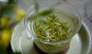 好的绿茶有哪些 好的绿茶有哪些特点