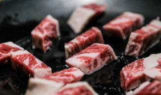 煮熟的肉冷冻能放多久（冷冻的肉需要煮多久才熟）