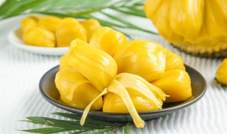 泰国菠萝蜜和海南菠萝蜜的区别（泰国菠萝蜜和海南菠萝蜜的区别图片）