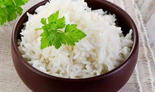 什么可以蒸米饭 除了电饭煲还有什么可以蒸米饭