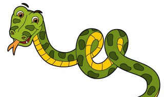 蛇没有四肢但它属于爬行动物为什么（蛇没有四肢但它属于爬行动物为什么不怕）
