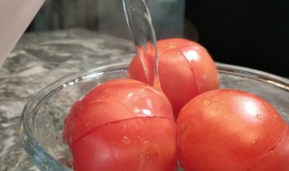 西红柿怎么去皮去皮后怎么切片 西红柿如何去皮 西红柿如何快速去皮