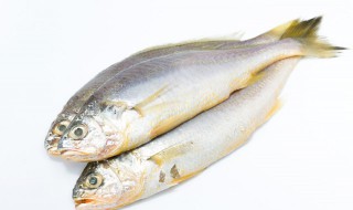 鱼不经过腌制直接晒干会保存多久 腌制的鱼晒干以后怎么保存