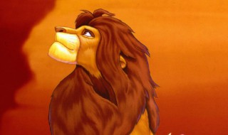 狮子王为什么只有一只公狮子 狮子王里为什么没有公狮子