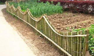 竹子围栏一般有多少年寿命 竹子围栏能用几年