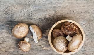 种香菇用什么木屑 刚粉碎的木屑能直接种香菇吗?