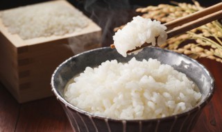 米饭没煮熟怎么办 电饭煲米饭没煮熟怎么办