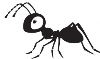 蚂蚁用什么来辨别气味 蚂蚁是什么气味