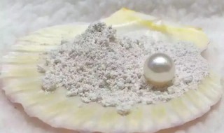 如何挑选好的珍珠粉 怎样才能选到正宗的珍珠粉