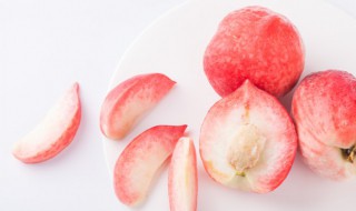 水蜜桃的高产种植技术是什么（水蜜桃栽培技术）