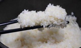 米饭怎么煮到什么程度才算煮熟 米饭煮熟要多少度