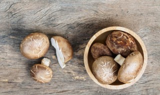 椴木香菇与袋料香菇的区别 椴木香菇与普通香菇的区别