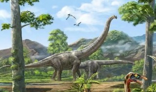恐龙的演化过程 恐龙的演化过程怎么写