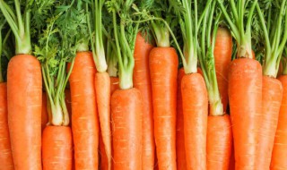 胡萝卜的种植技术 胡萝卜的种植技术和时间