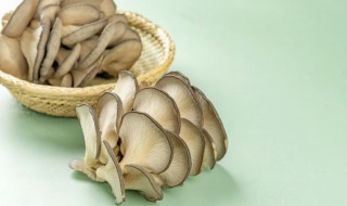 蘑菇炒几分钟能熟 蘑菇炒几分钟可以熟