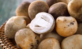 草菇可以放冰箱保存吗 新鲜草菇可以放冷藏保存吗