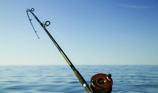 新手学钓鱼需要注意什么 新手钓鱼应该注意什么
