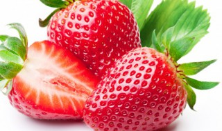 草莓常温能放多久 草莓在高温可以放多久