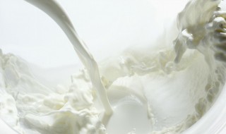 牛奶敷面膜的正确方法 用牛奶敷面膜的正确方法