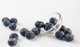 蓝莓杨桃牛油果原产地在哪 进口蓝莓是哪里的特产