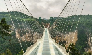 世界上最大的吊桥是哪一个（世界上最长的吊桥是哪一座）