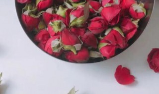 玫瑰花酵素的玫瑰花能吃吗（玫瑰酵素里的玫瑰可以吃吗）