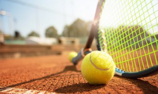 网球表面为什么是毛绒绒的 网球表面为什么有毛