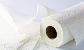 纸巾什么时候发明的 大家经常用纸巾吧,知道纸巾是谁发明的吗