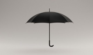雨伞是不是轴对称图形（雨伞是轴对称吗）