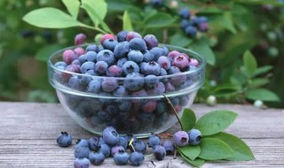 蓝莓鲜果如何保存呢 蓝莓鲜果怎么保存