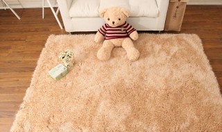使用地毯的注意事项有哪些 地毯的使用方法