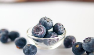 蓝莓可以室内种植吗 室内可以养蓝莓吗