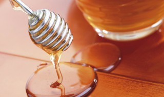 喂蜜蜂吃白糖产出的蜂蜜怎么分辨 用白糖喂的蜜蜂产出的蜂蜜好吗