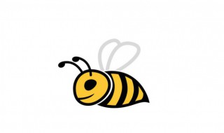 怎样养蜜蜂 怎样养蜜蜂它才不跑