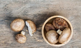 鲜香菇怎样保存长时间 鲜香菇如何保存可以放很长时间