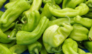 青椒保鲜储存方法半年 青椒能保鲜多久