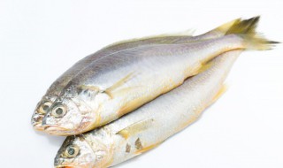 新鲜鱼放冰箱冷藏可以放多久 新鲜鱼可以在冰箱冷藏多久