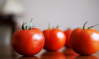 新鲜西红柿怎样储藏时间长 新鲜西红柿怎么保存时间长