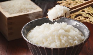 米饭在冰箱里可以放多久（做好的米饭在冰箱里可以放多久）