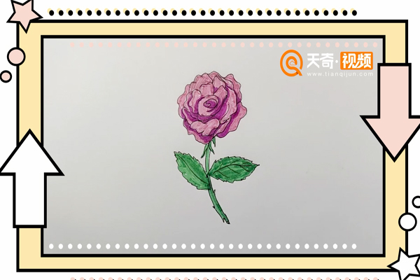 月季花简笔画 月季花简笔画儿童画