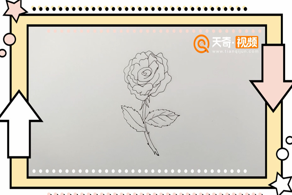 月季花简笔画 月季花简笔画儿童画