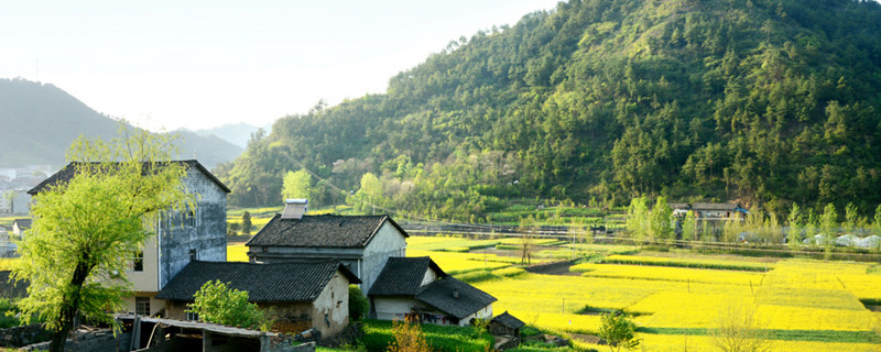 村居古诗意思