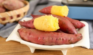 盆栽红薯怎么种植 如何栽种红薯