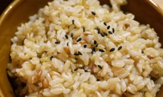 糙米怎么煮才好吃 糙米怎么煮好吃又营养