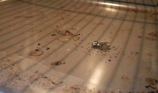 烤箱油垢怎么清理 烤箱内的油垢怎么清洗