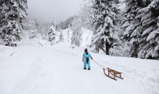 西岭雪山几月份最适合滑雪 西岭雪山一年四季都可以滑雪吗