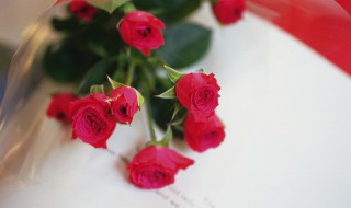 怎吗从玫瑰鲜花中提取玫瑰纯露 多少玫瑰花可以提取1kg纯露
