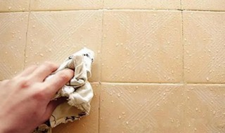 怎么去除瓷砖上的污渍 陶瓷砖上的污渍怎么去除